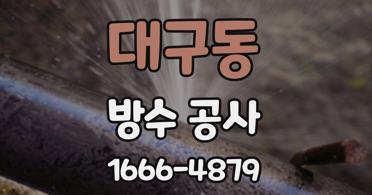 대구동 방수 공사