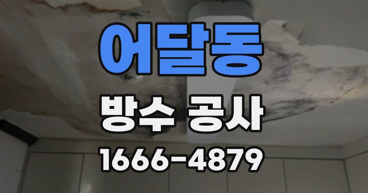 어달동 방수 공사