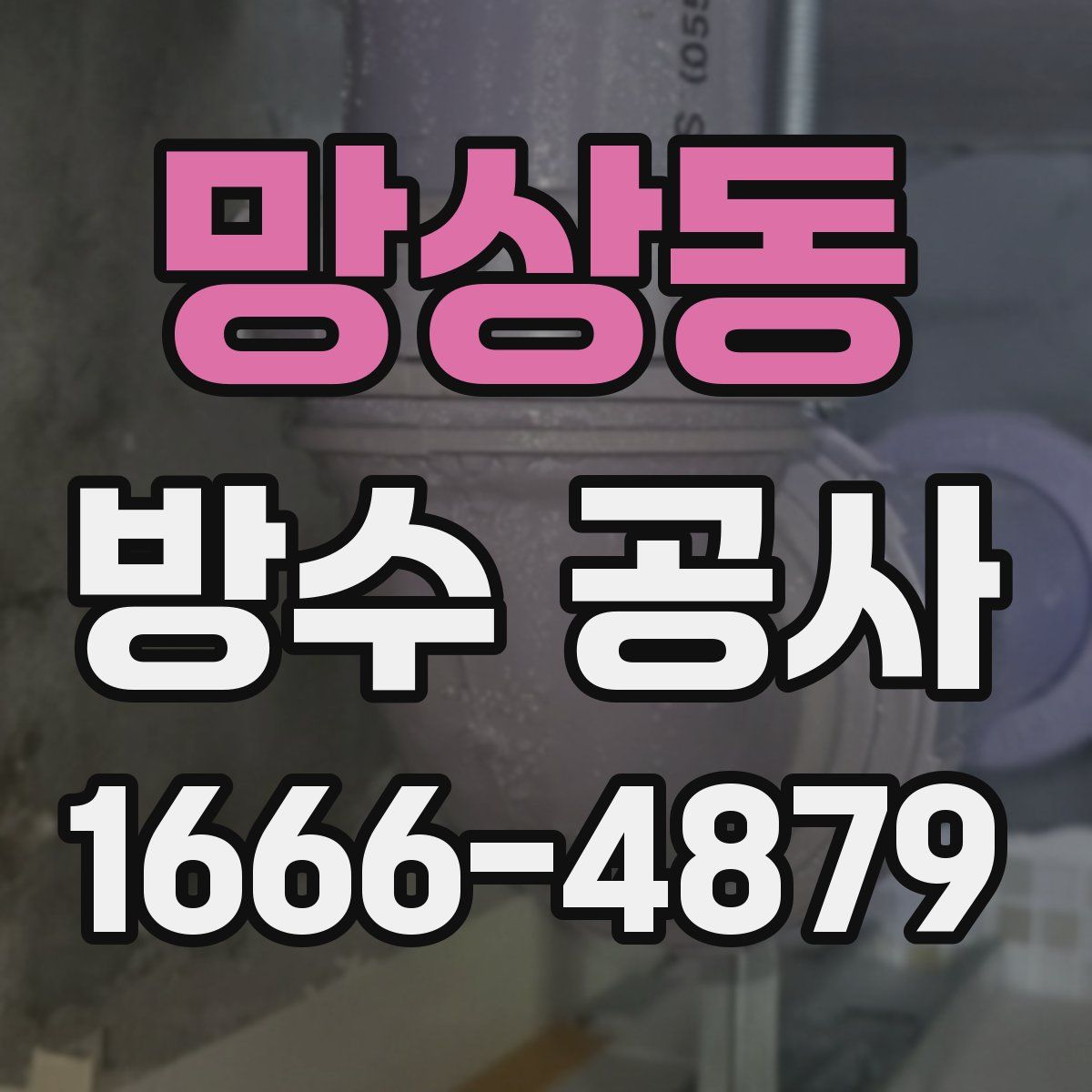 망상동 방수 공사