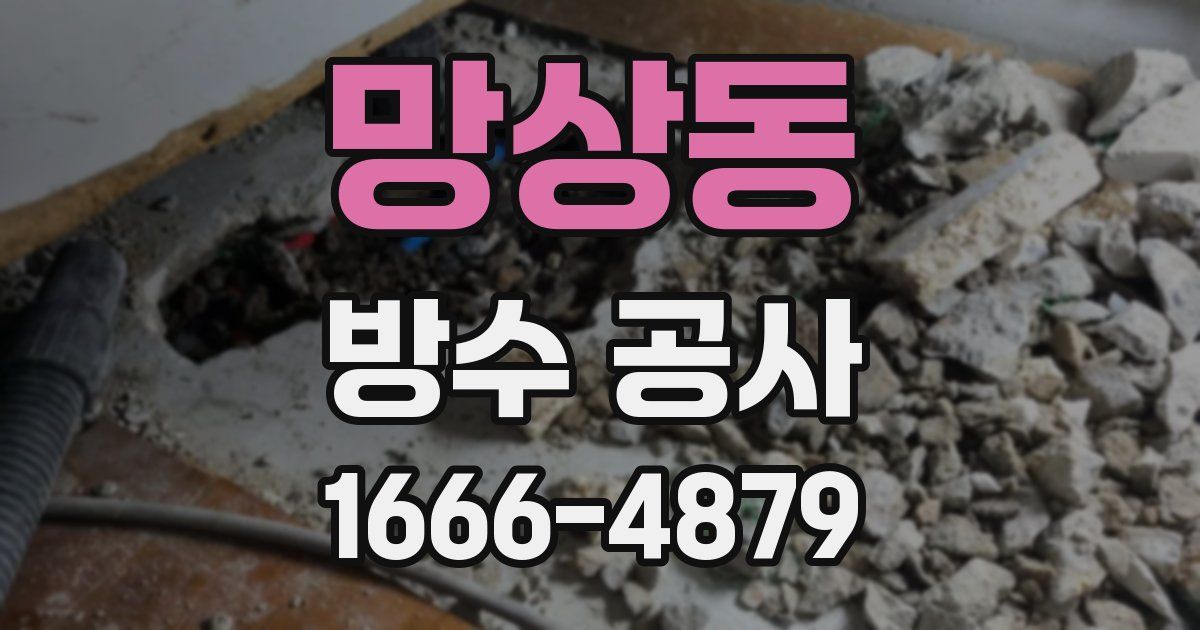 망상동 방수 공사