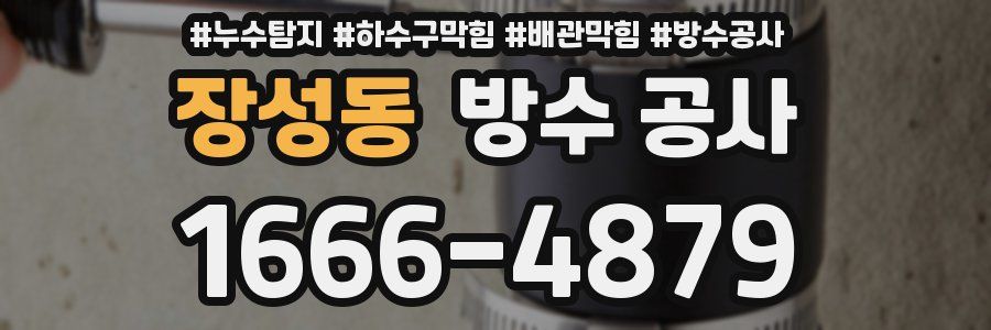 장성동 방수 공사