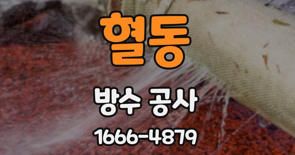 혈동 방수 공사