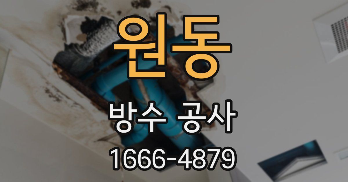 원동 방수 공사