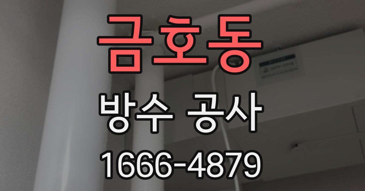 금호동 방수 공사