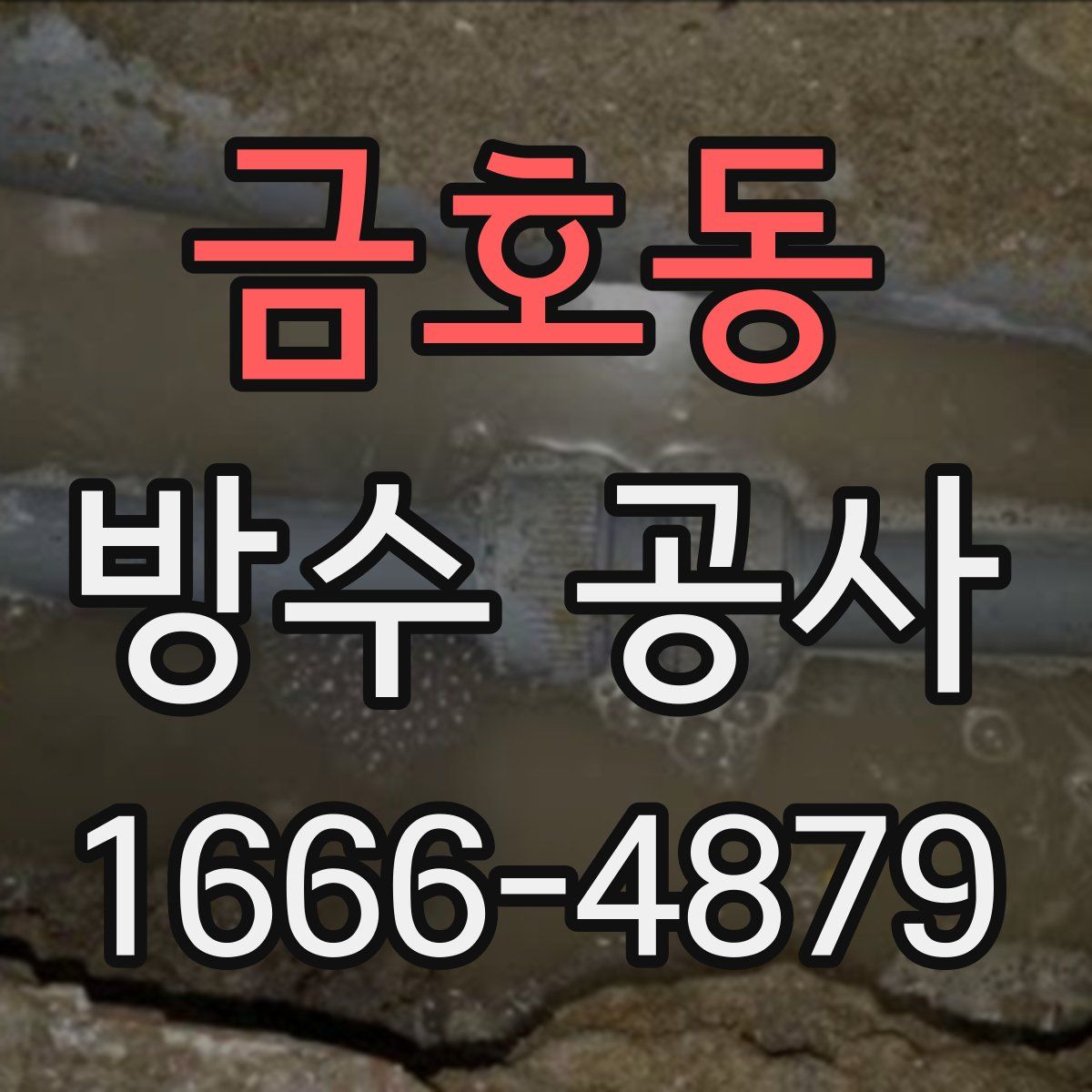 금호동 방수 공사