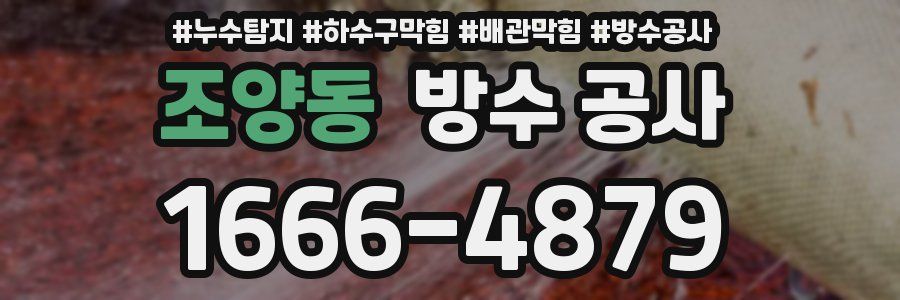 조양동 방수 공사