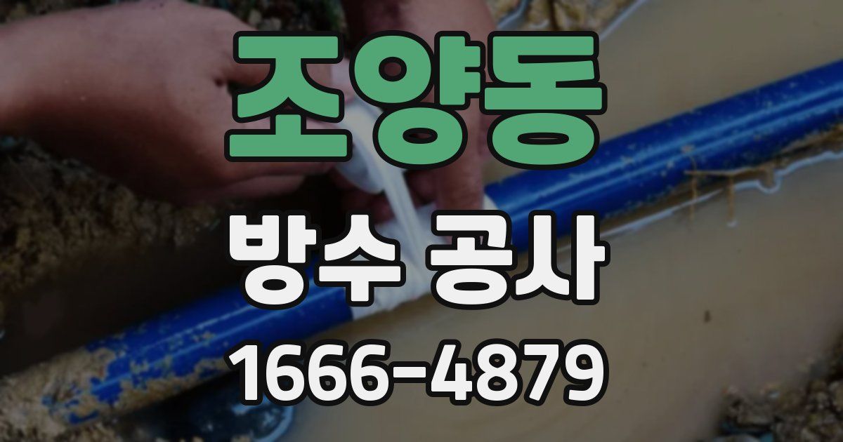 조양동 방수 공사
