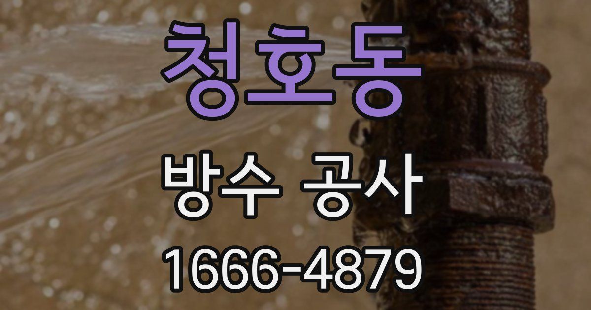 청호동 방수 공사