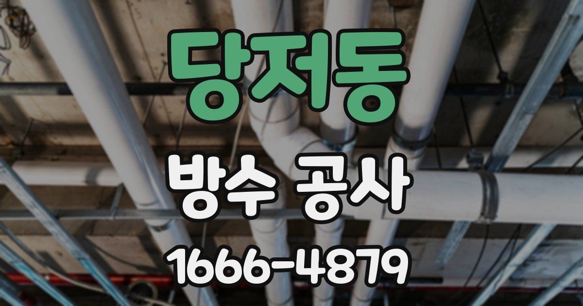 당저동 방수 공사