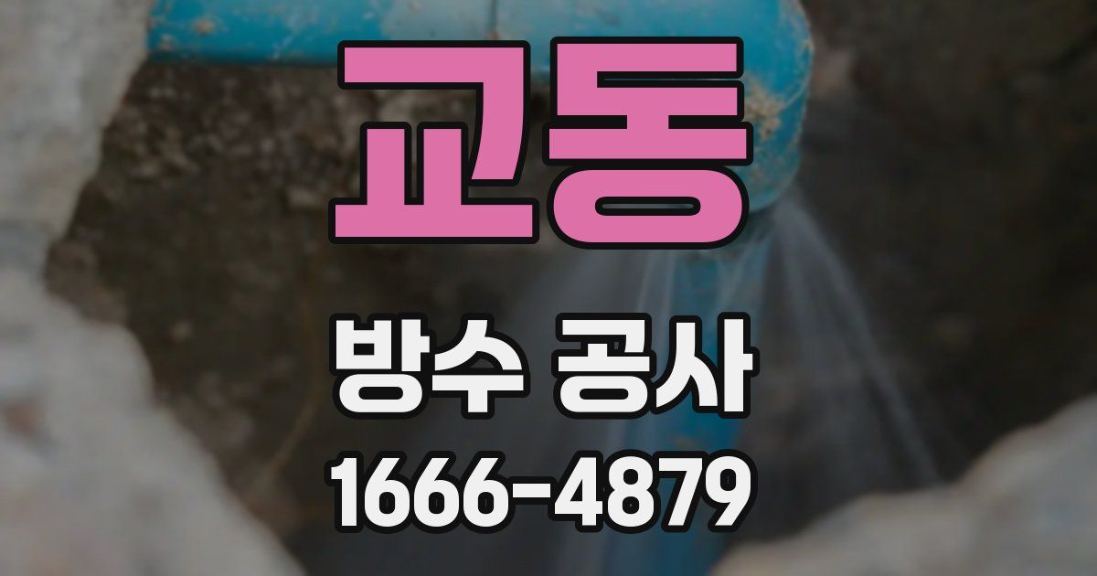 교동 방수 공사