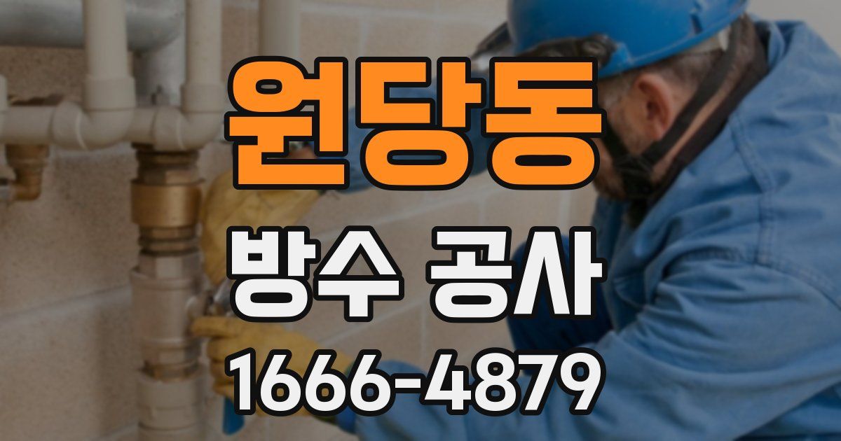 원당동 방수 공사