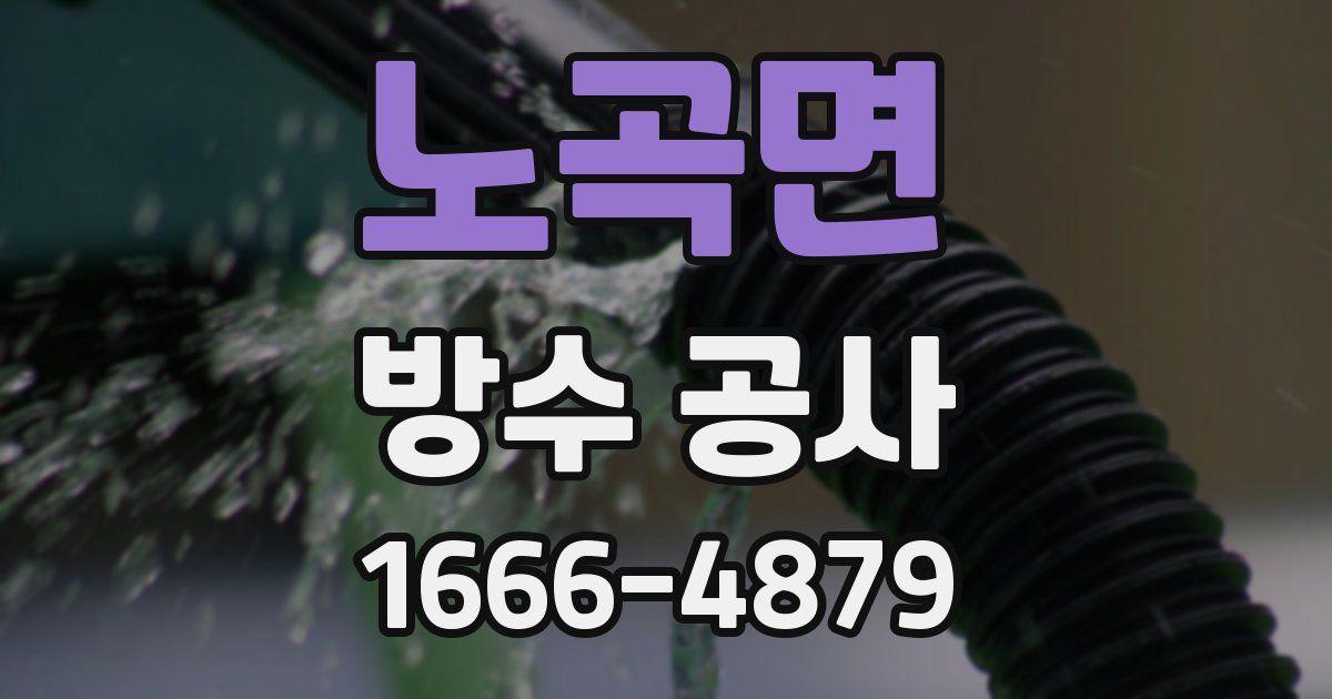 노곡면 방수 공사