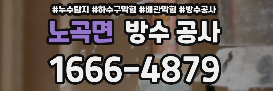 노곡면 방수 공사