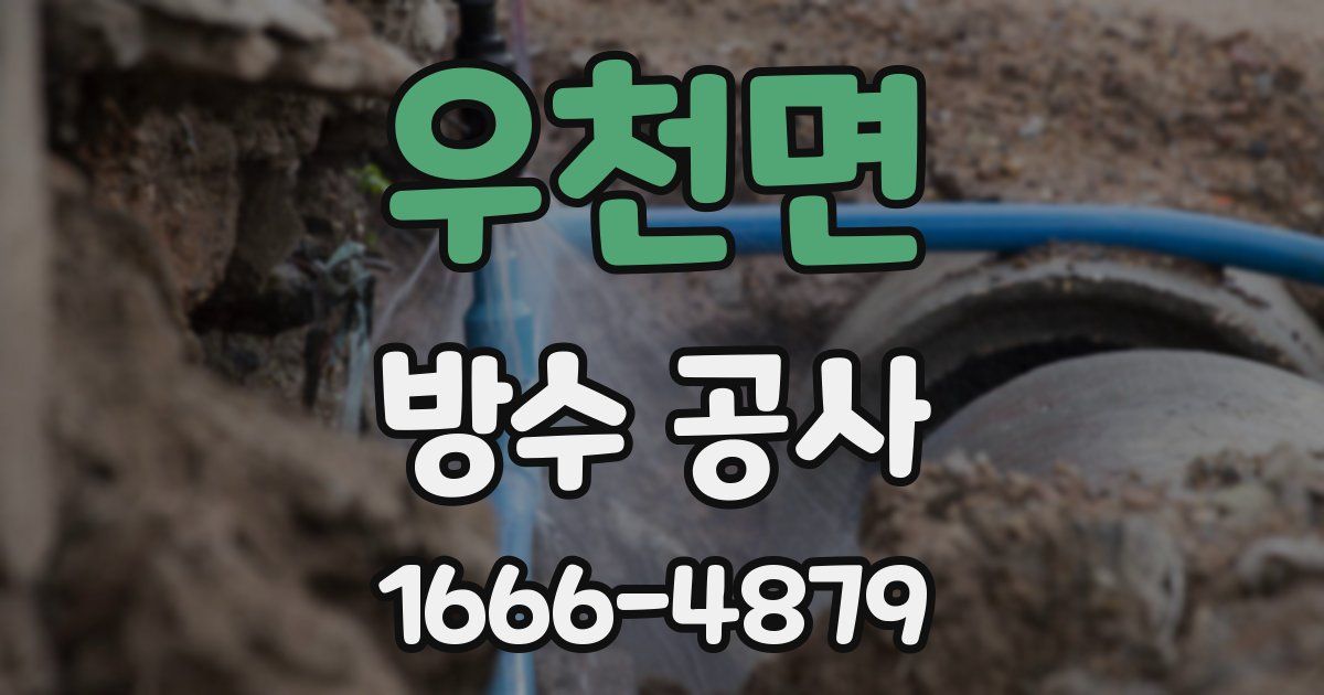 우천면 방수 공사