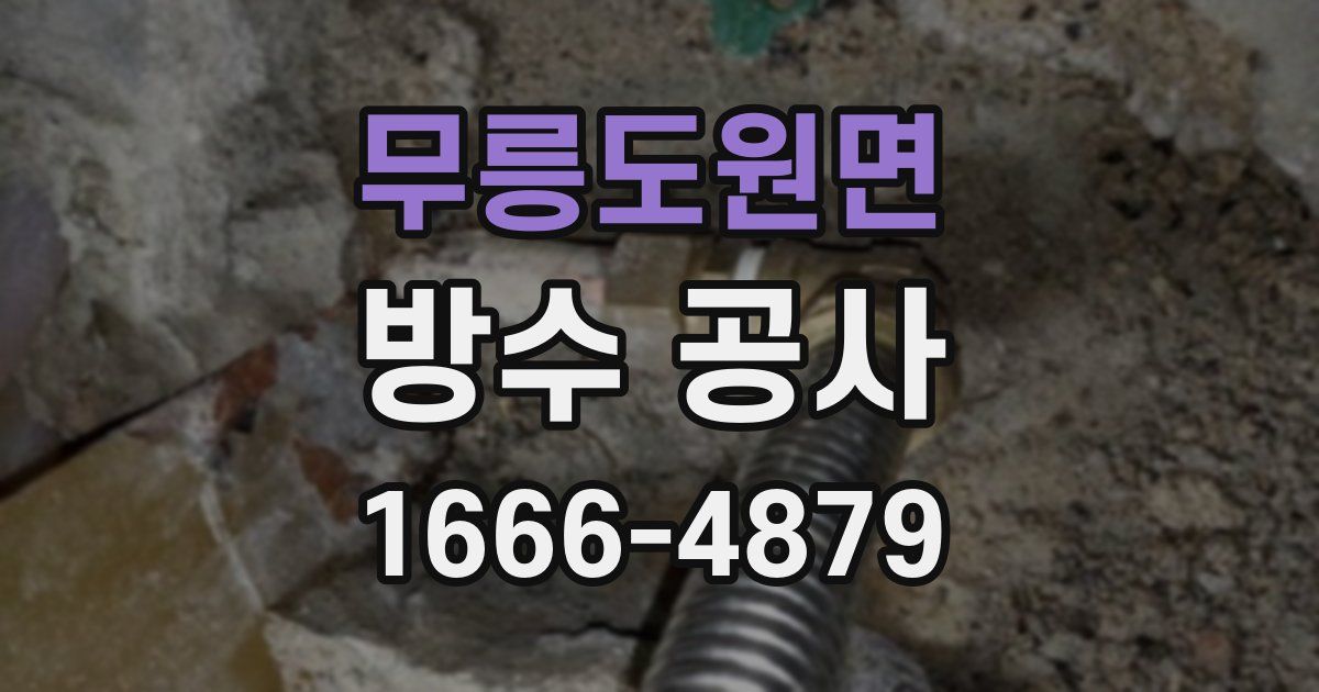 무릉도원면 방수 공사