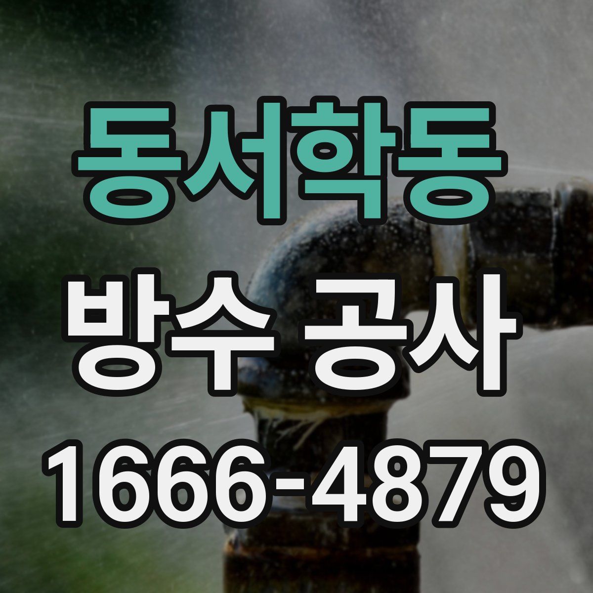 동서학동 방수 공사