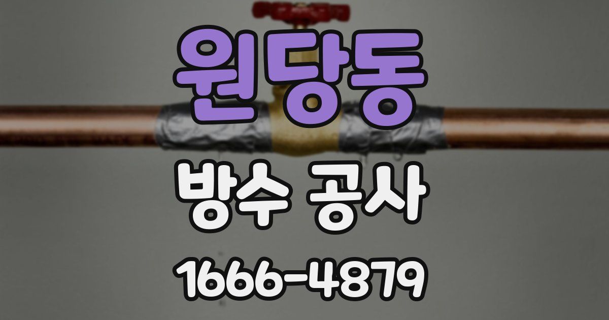 원당동 방수 공사