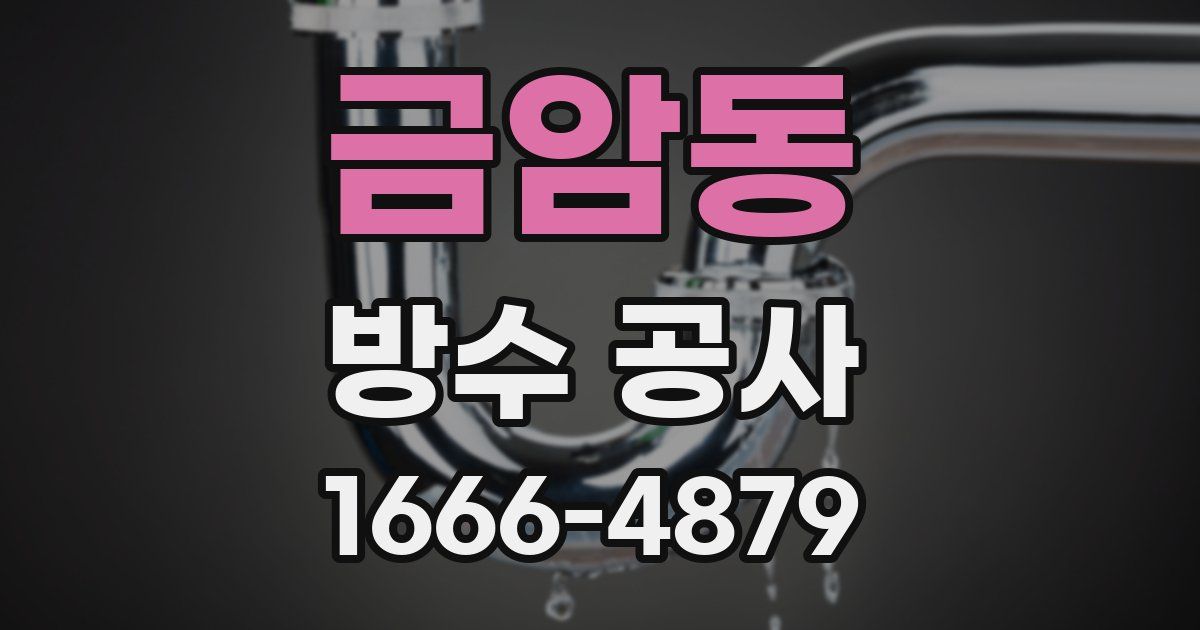 금암동 방수 공사