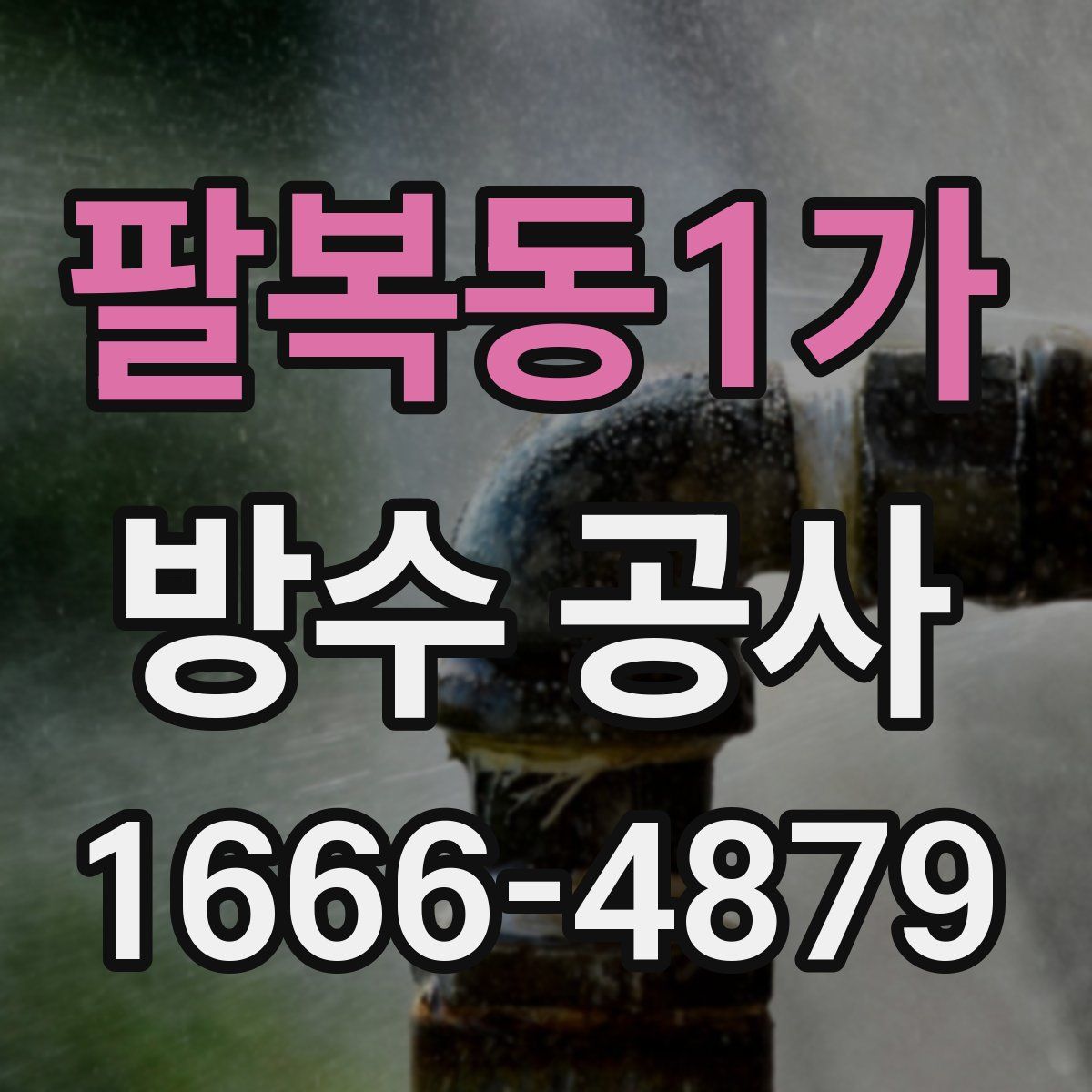 팔복동1가 방수 공사