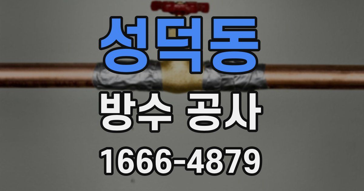 성덕동 방수 공사