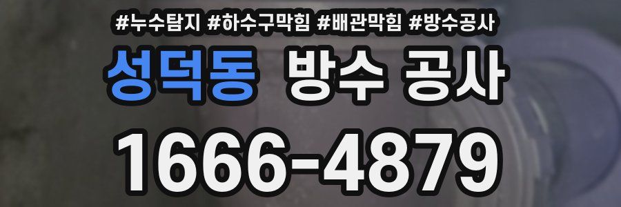 성덕동 방수 공사