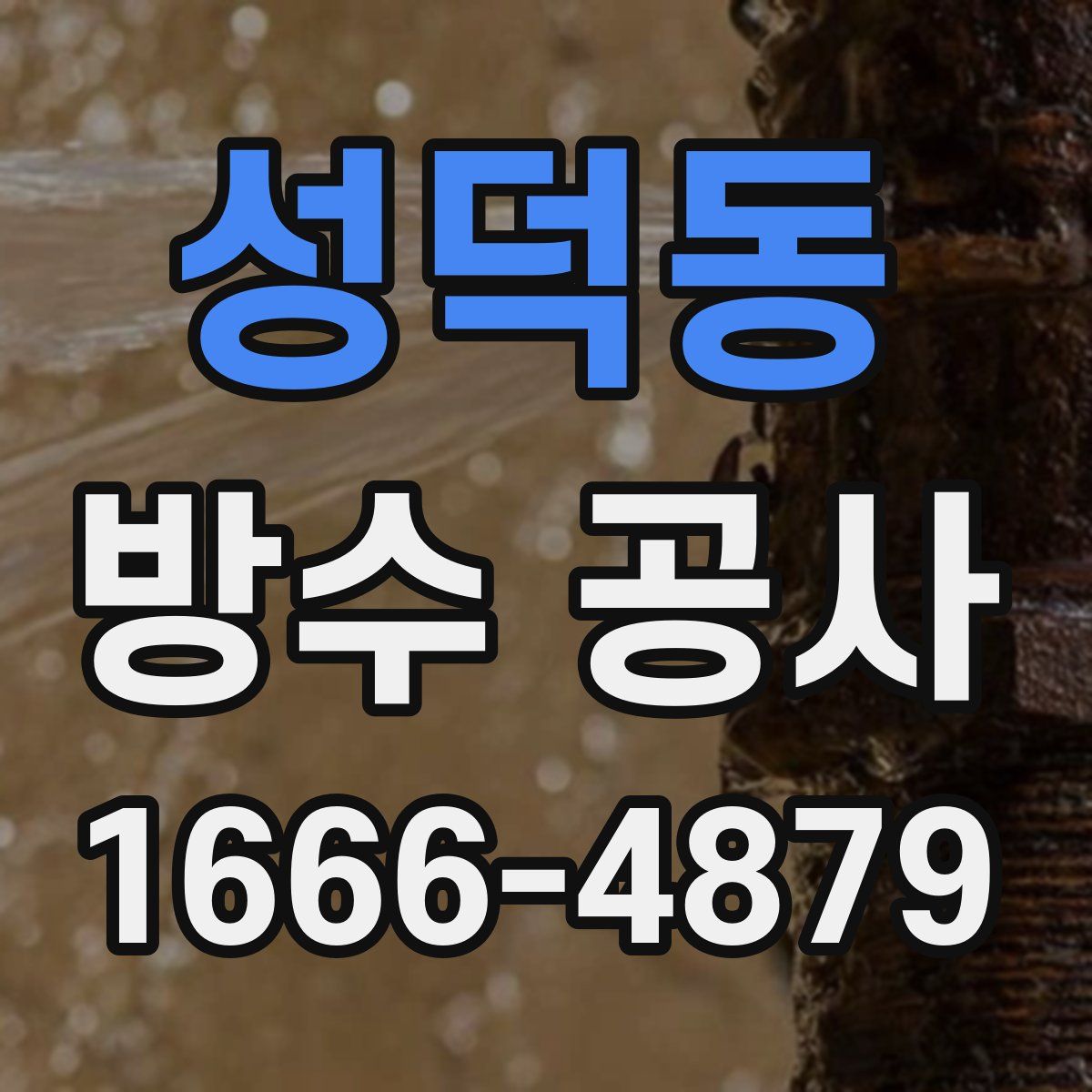 성덕동 방수 공사