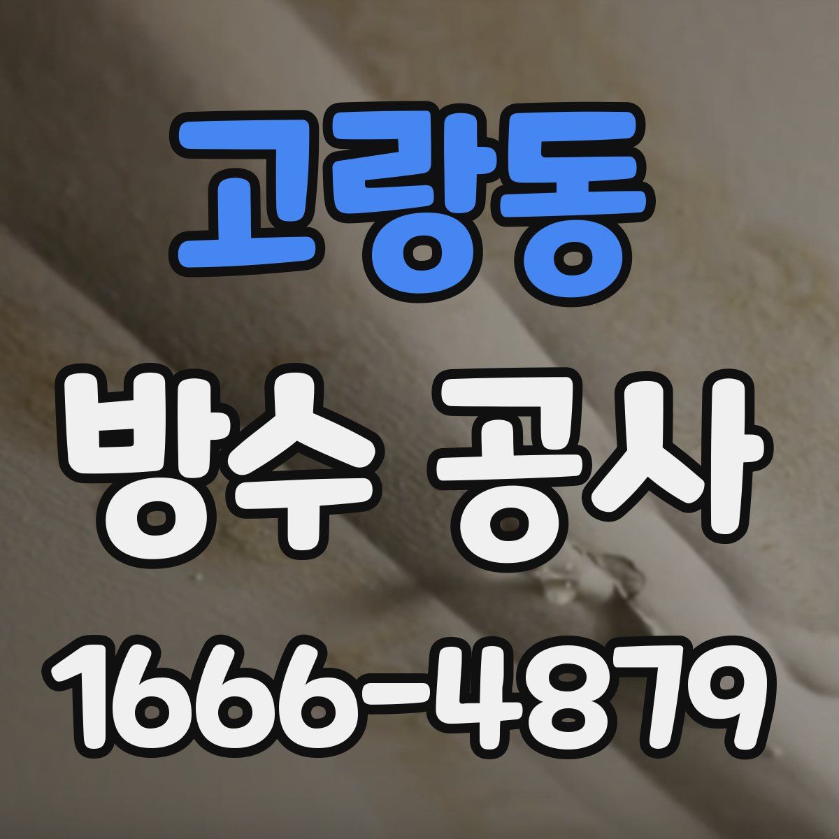 고랑동 방수 공사