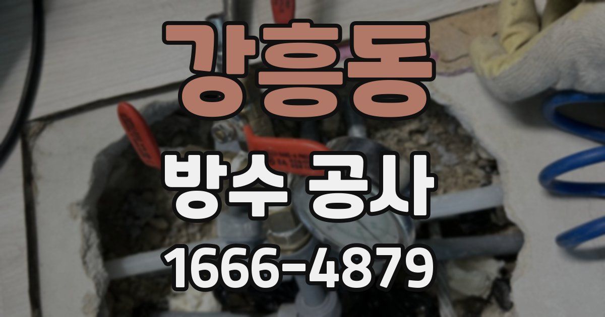 강흥동 방수 공사