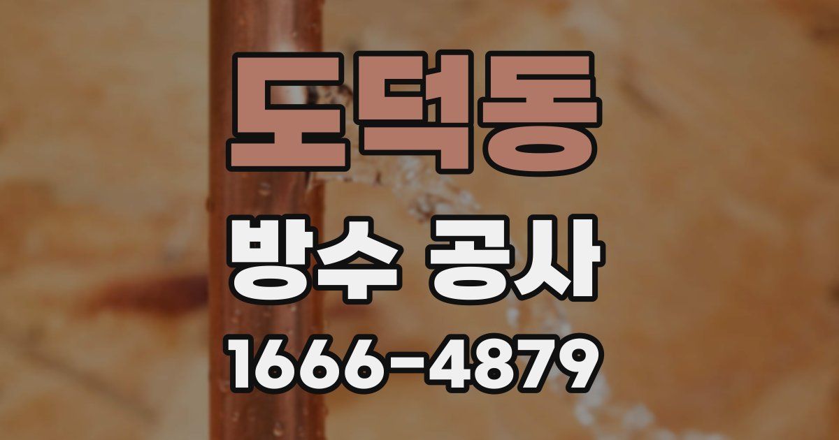도덕동 방수 공사