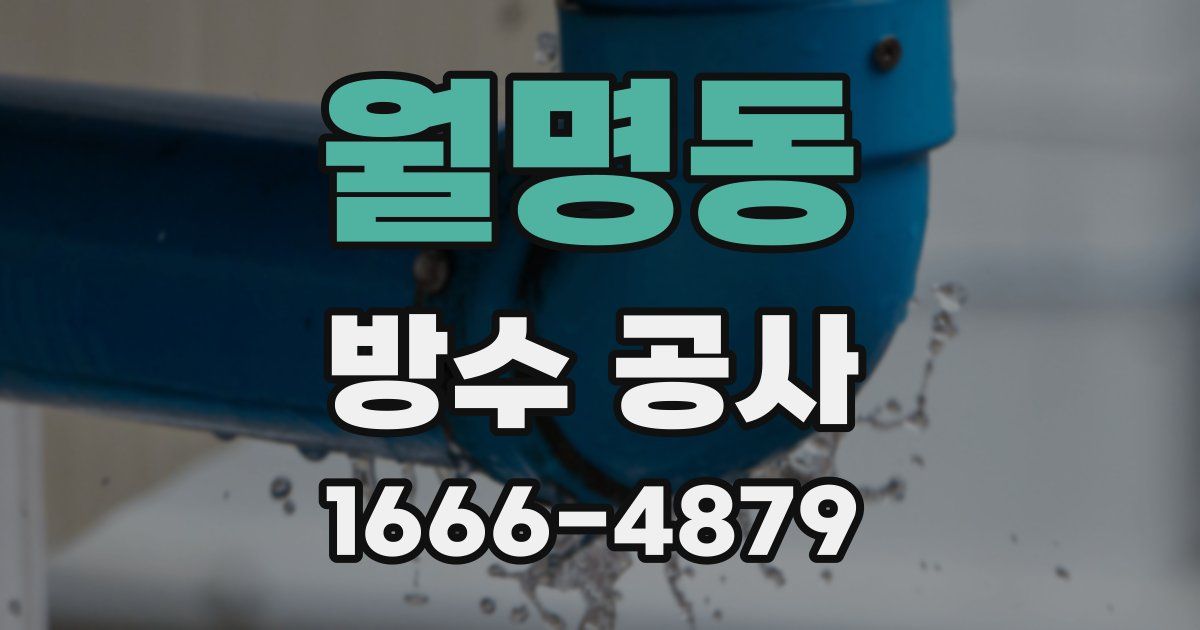 월명동 방수 공사