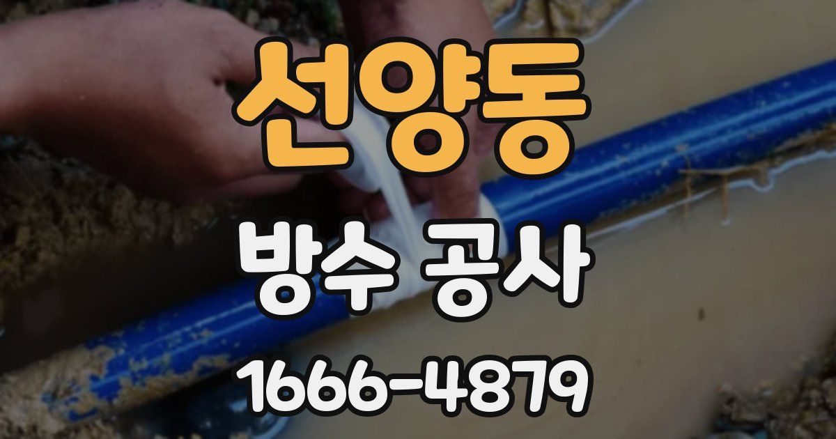 선양동 방수 공사
