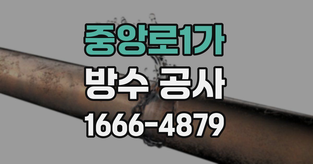 중앙로1가 방수 공사