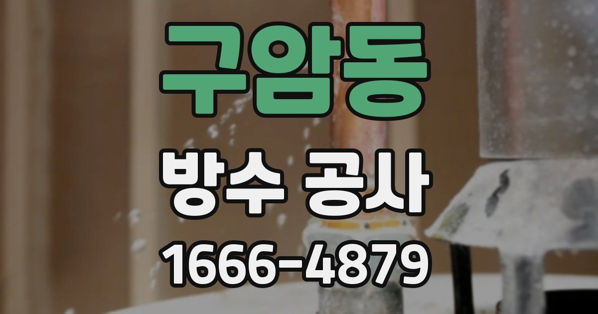 구암동 방수 공사