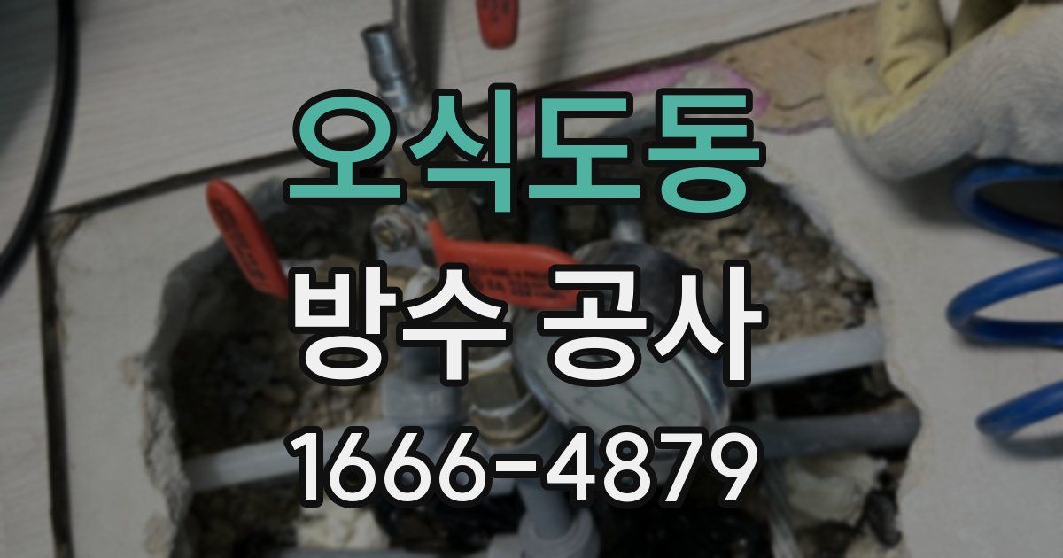 오식도동 방수 공사