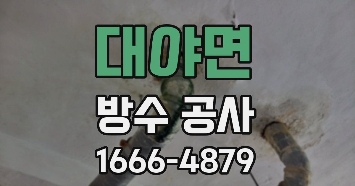 대야면 방수 공사