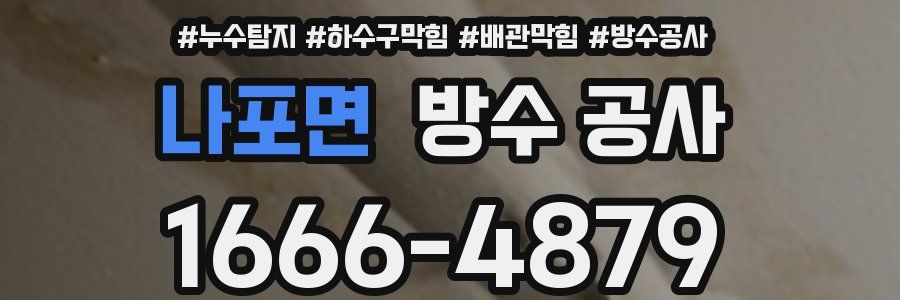 나포면 방수 공사