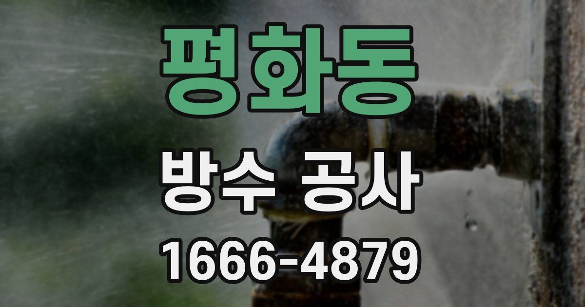 평화동 방수 공사