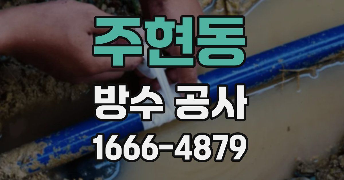 주현동 방수 공사