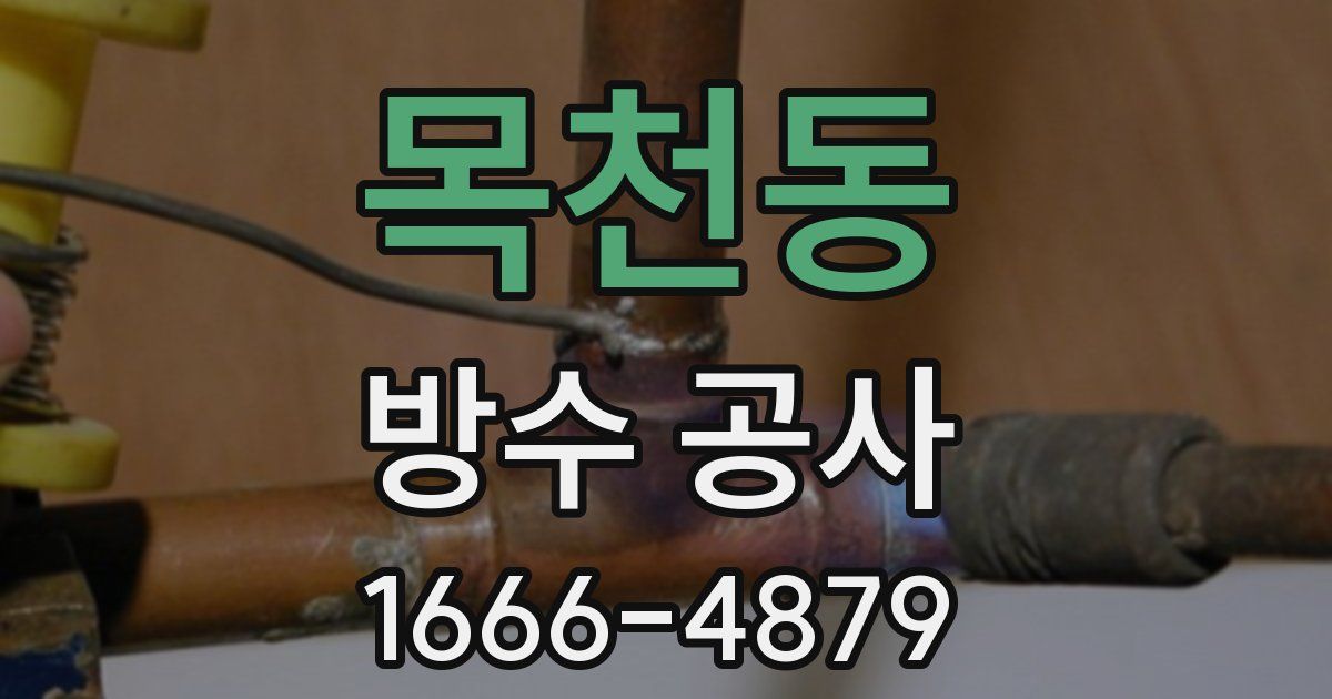 목천동 방수 공사