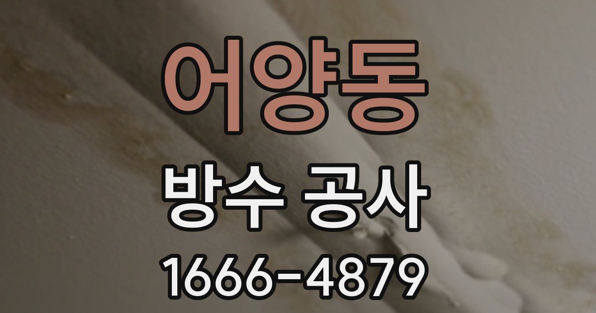 어양동 방수 공사