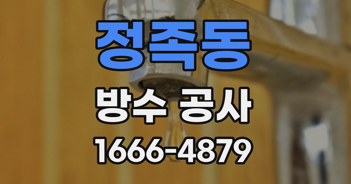 정족동 방수 공사