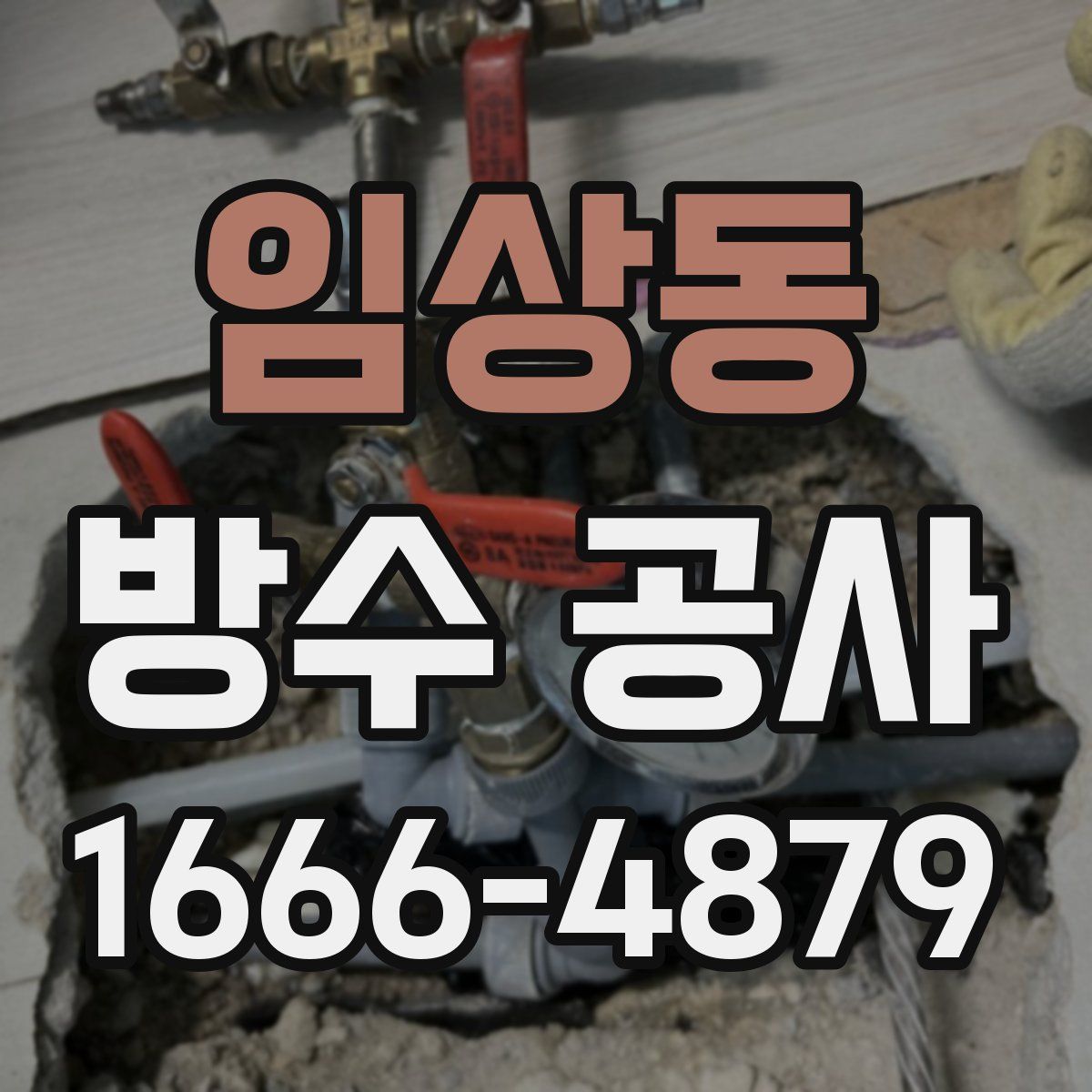 임상동 방수 공사