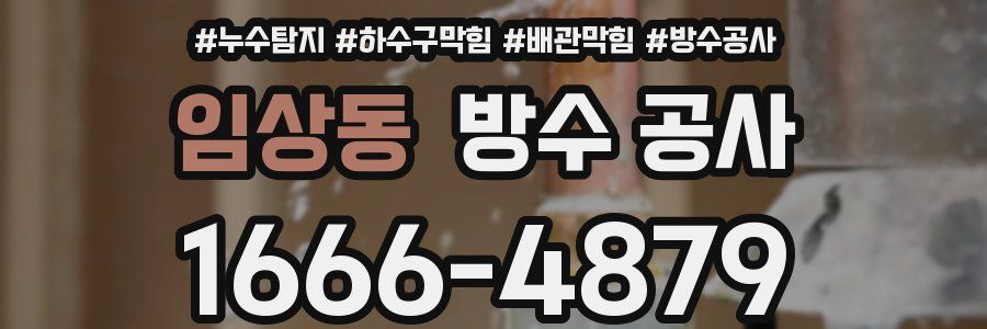 임상동 방수 공사