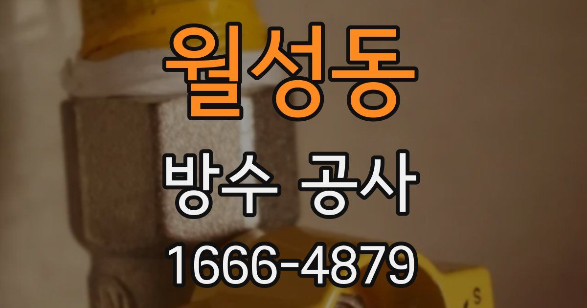 월성동 방수 공사