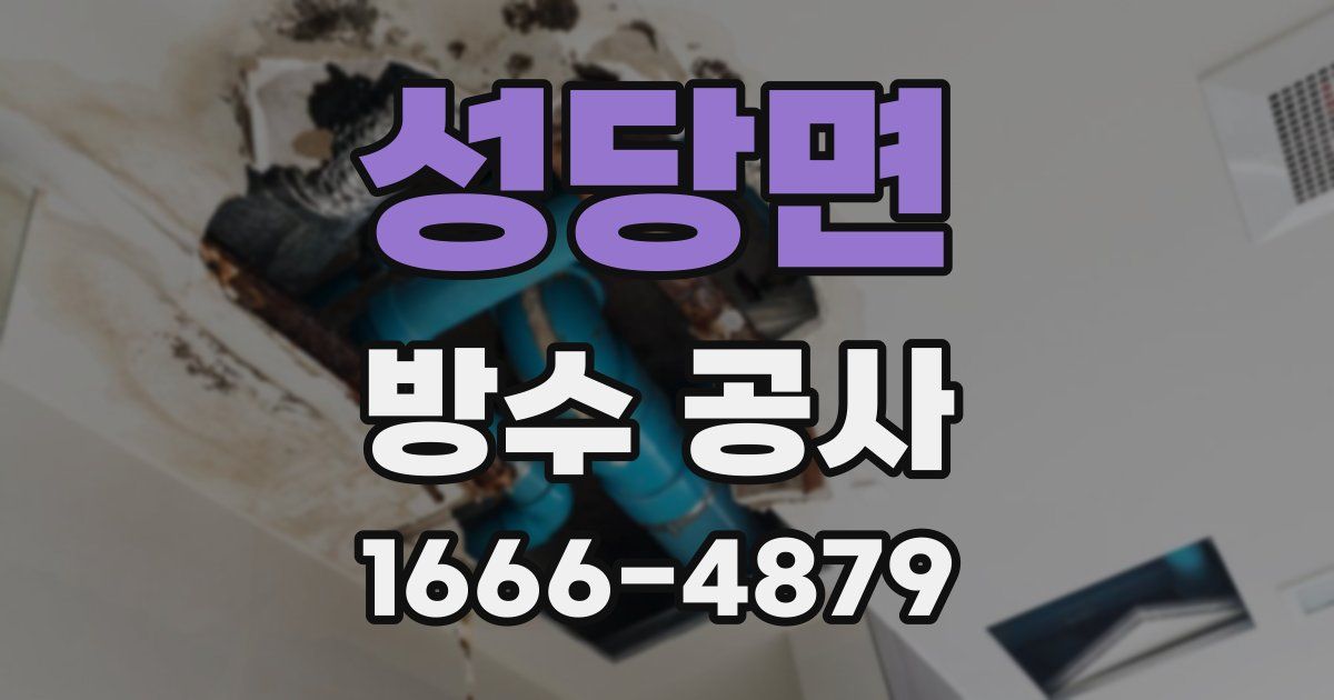 성당면 방수 공사