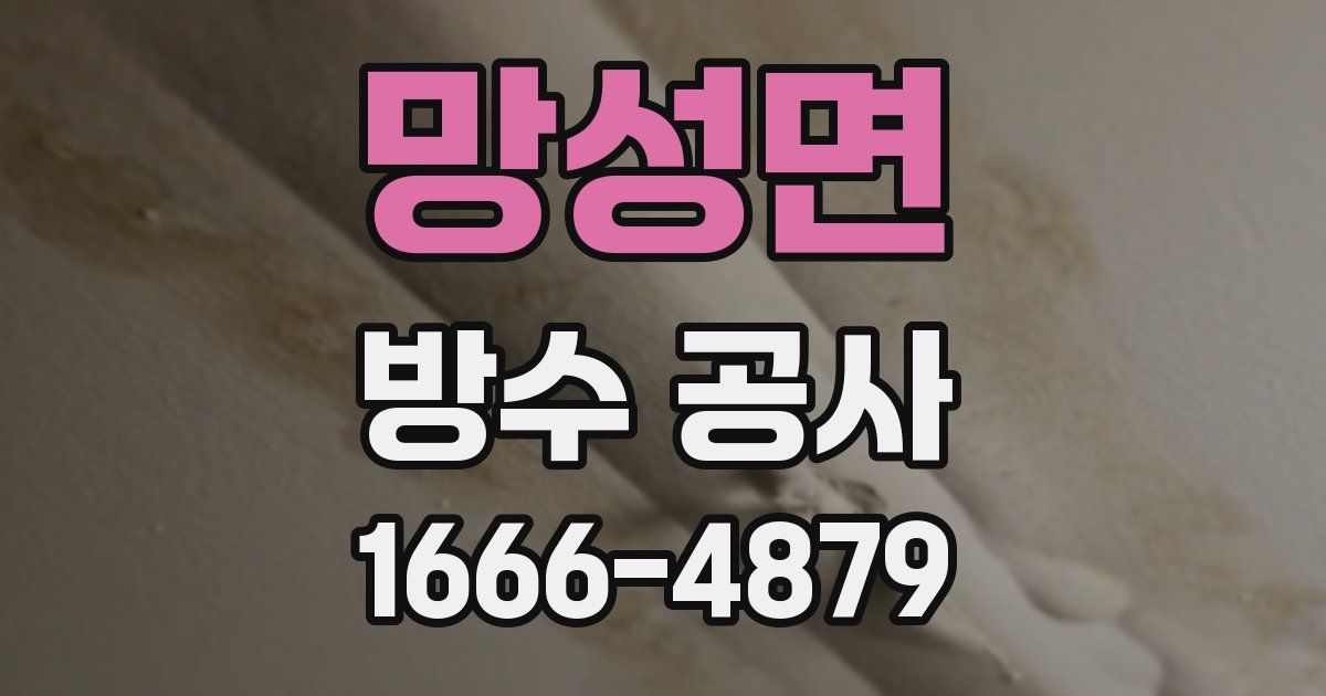 망성면 방수 공사