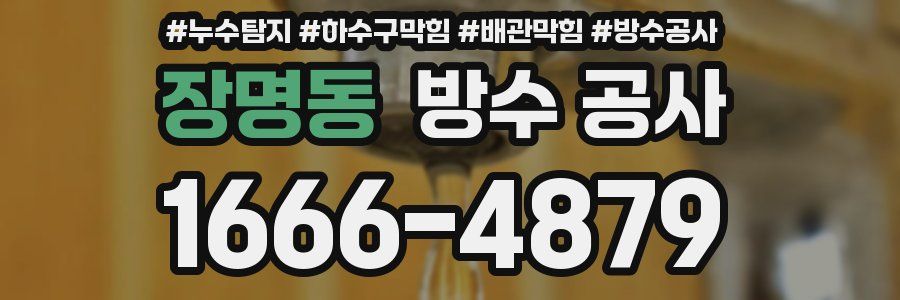 장명동 방수 공사
