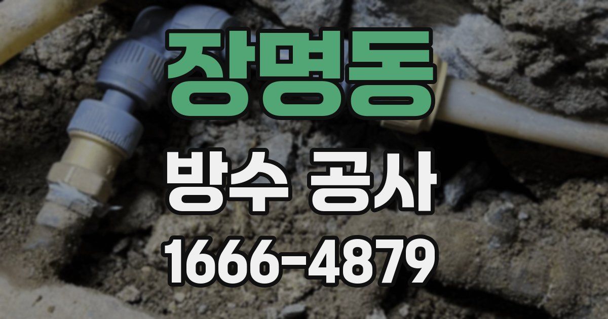 장명동 방수 공사