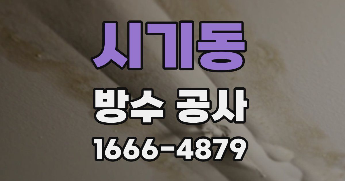 시기동 방수 공사
