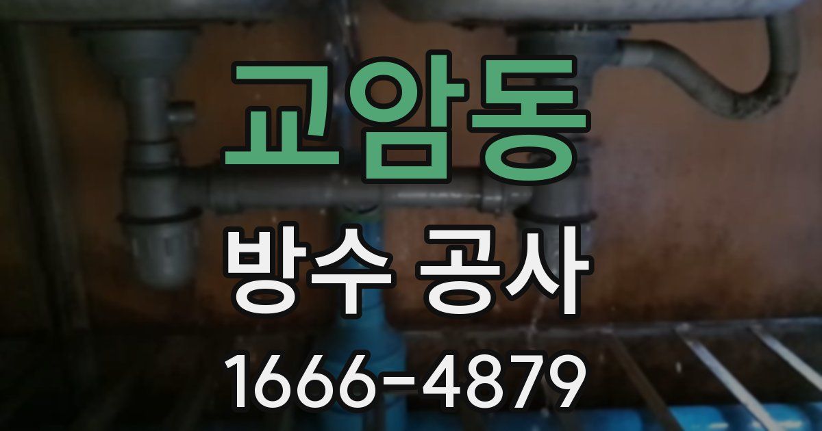 교암동 방수 공사